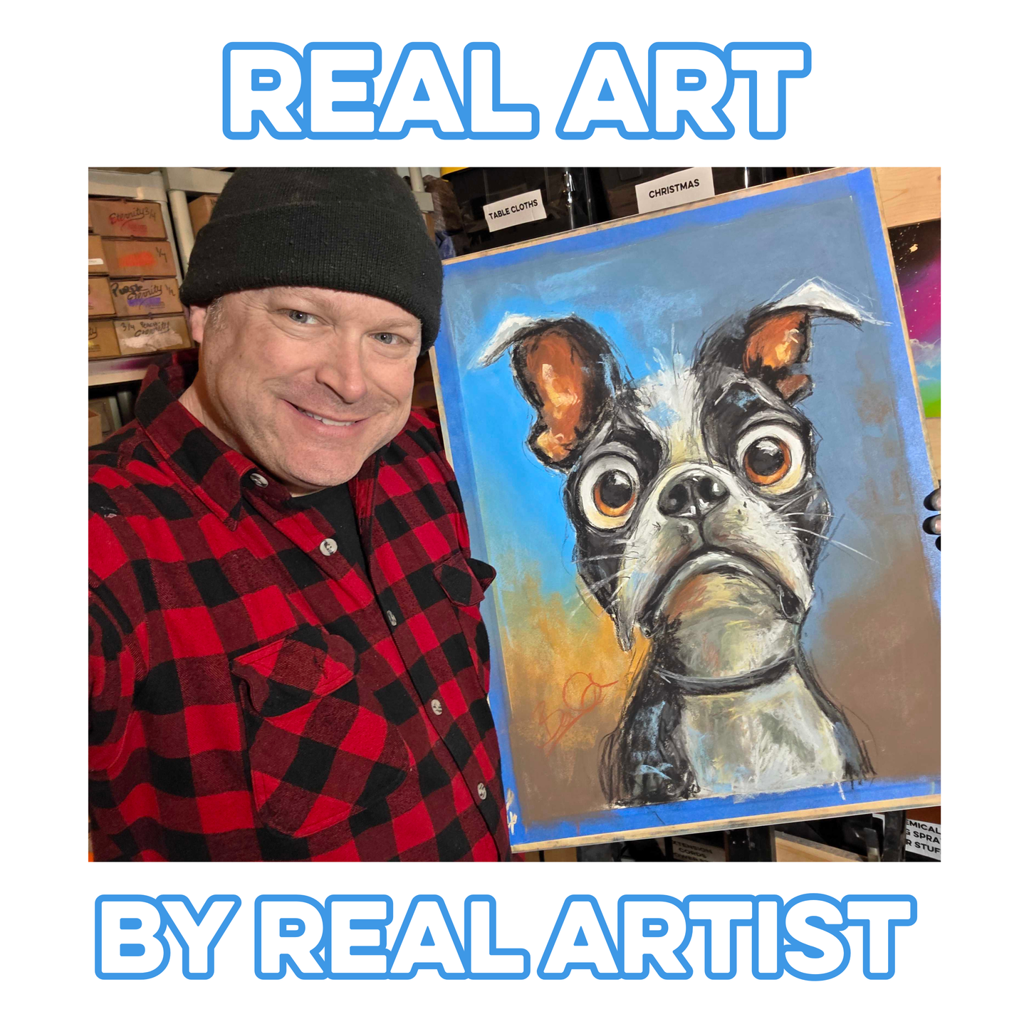 16x20 Busted Boston Terrier