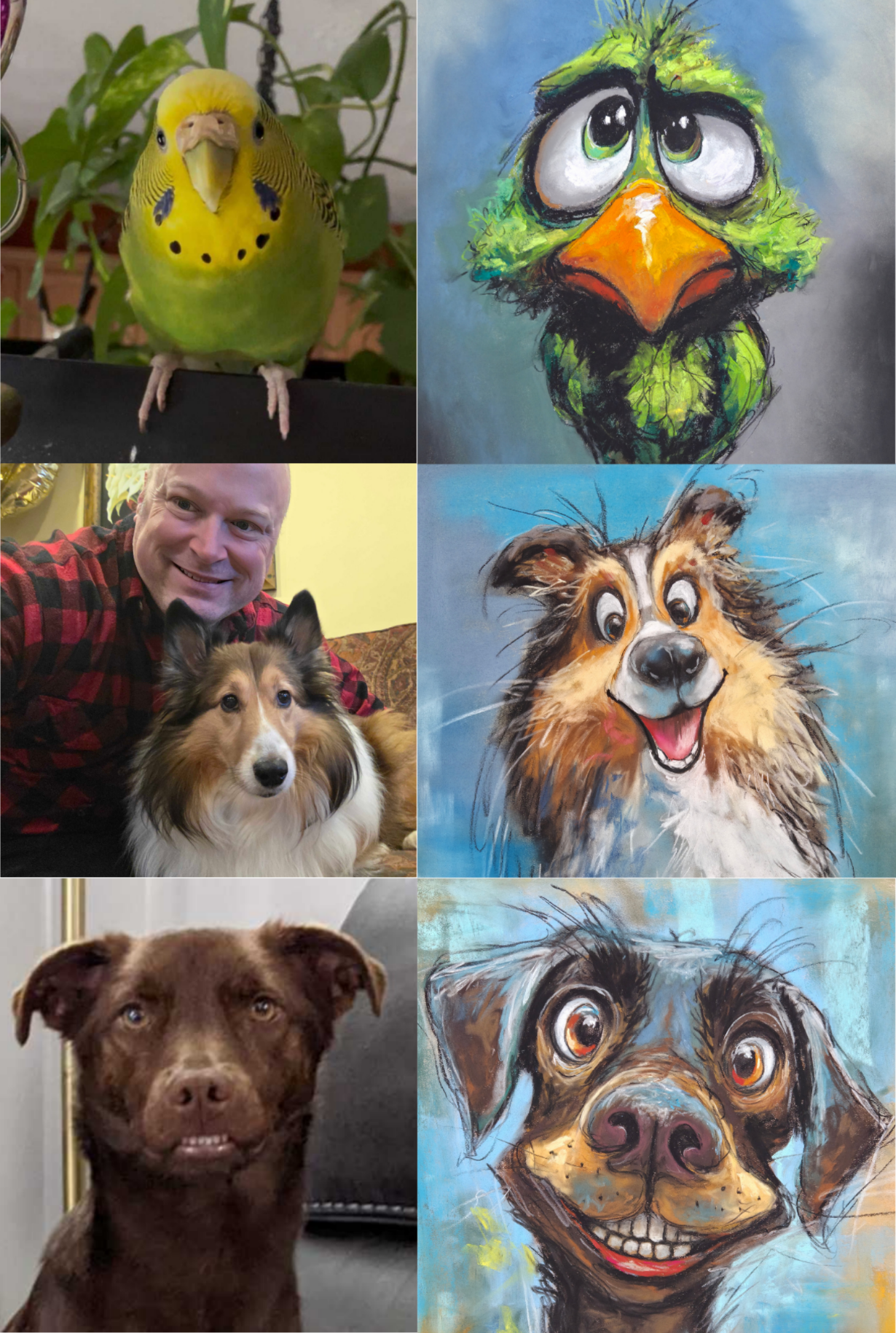 Pet Personality in Pastel