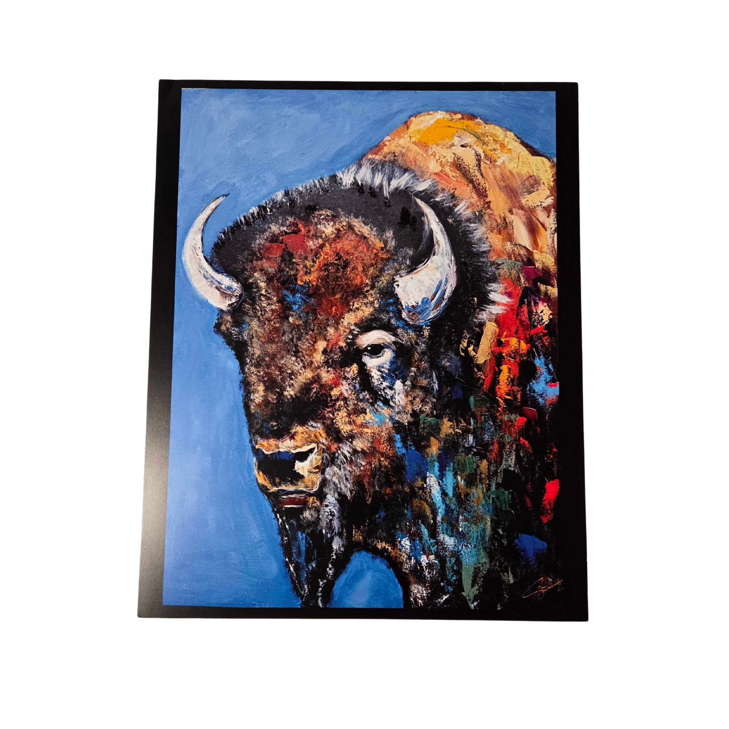 WHAT???!!!  7 LARGE PRINTS! ($700 in Prints for ONLY $99!!) 86% Discounted.  (hurry on this one)