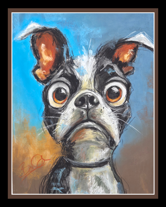 16x20 Busted Boston Terrier